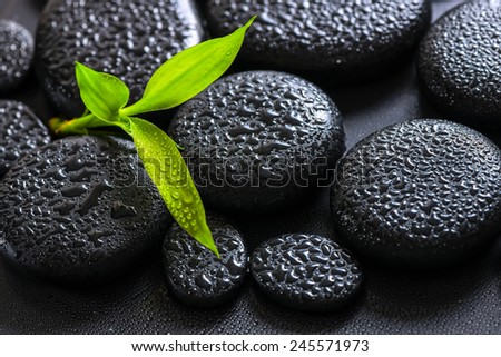 spa background of green branch bamboo on zen basalt stones with dew