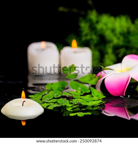 spa background of plumeria flower, green branch Asparagus, fern and candles on zen basalt stones with drops in reflection water , closeup