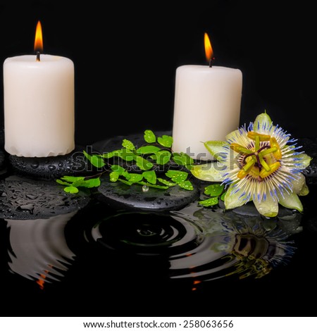 spa still life of passiflora flower, green leaf fern with drop and candles on zen stones in ripple reflection water, closeup