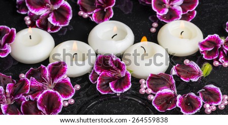 beautiful spa still life of geranium flower and candles in ripple reflection water, Royal Pelargonium, panorama