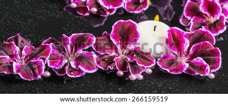 beautiful spa concept of blooming dark purple geranium flower, beads and candles in reflection water, panorama
