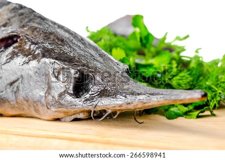 head of fresh raw sturgeon fish with greens, closeup
