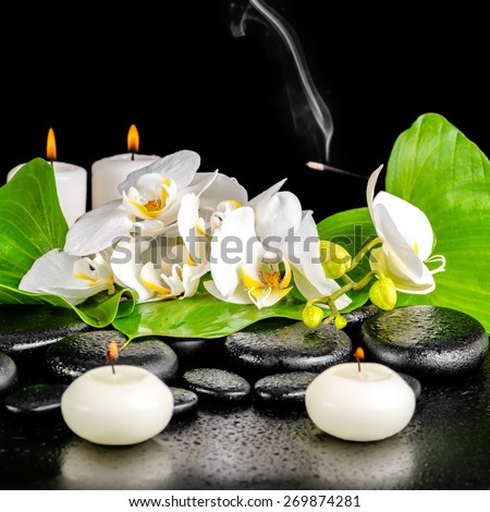 spa concept of orchid flower, phalaenopsis, leaf with dew, candles, smoke on black zen stones, closeup