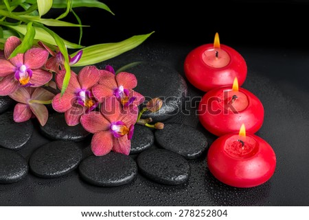 beautiful spa setting of twig red orchid flower, phalaenopsis, bamboo with water dew and candles on zen basalt stones, closeup