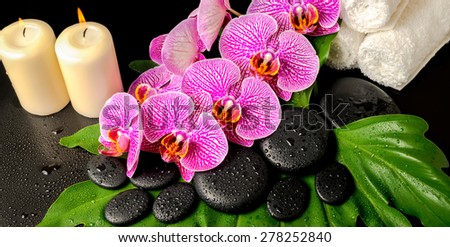 spa background of zen stones with dew, blooming twig stripped violet orchid (phalaenopsis ), stacked towel and candles on green leaf, panorama
