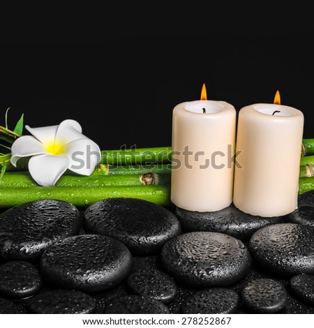 spa concept of zen basalt stones, white flower plumeria, candles and natural bamboo with dew, closeup