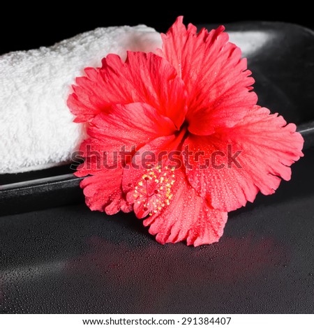 beautiful spa concept of red hibiscus flower with dew and white rolled towel, closeup