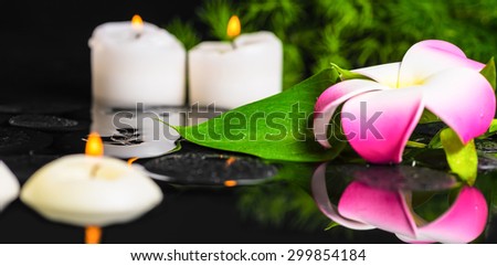 beautiful spa concept of green leaf calla lily, plumeria with drops and candles on zen stones in reflection water, panorama