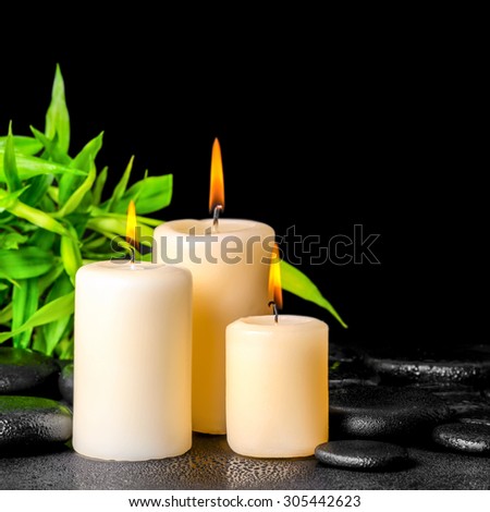 spa composition of twigs bamboo with dew and candles on zen basalt stones, closeup
