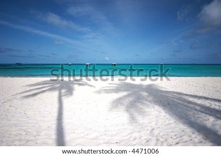 Beautiful tropical beach with two coco palm’s shadows on white sand