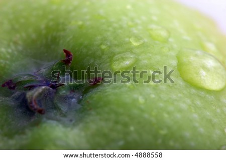 Macro shot of fresh green apple with water drops on it