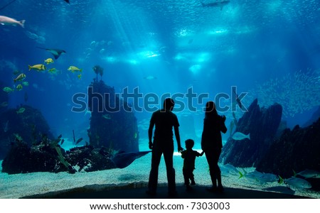 Underwater family. Silhouettes of young family of three enjoying views of underwater life. Family having free time in Oceanarium.