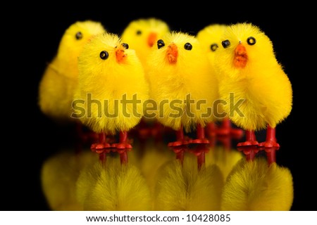 happy easter funny pictures. stock photo : Happy Easter.