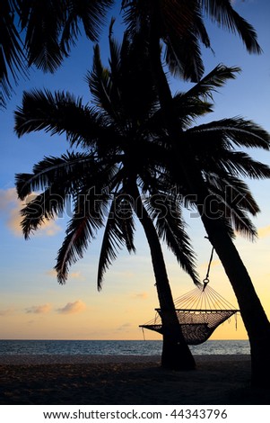 sunset on beach with palm trees. Tropical each with palm trees