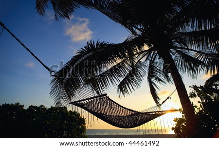 sunset on beach with palm trees. Tropical each with palm trees