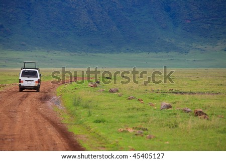 Game drive. Safari car on game drive in, Ngorongoro crater in Tanzania.
