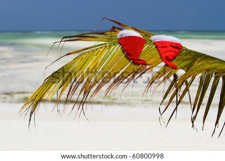 Two santa hats on palm leave with tropical beach on background