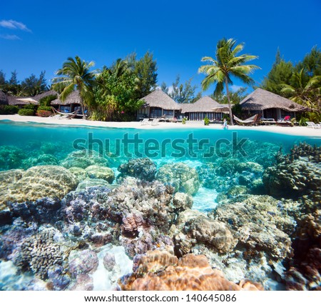 Tropical Island Above And Bellow Water