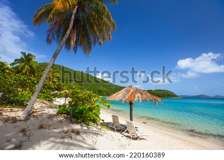 Beautiful tropical beach with palm trees, white sand, turquoise ocean water and blue sky at British Virgin Islands in Caribbean