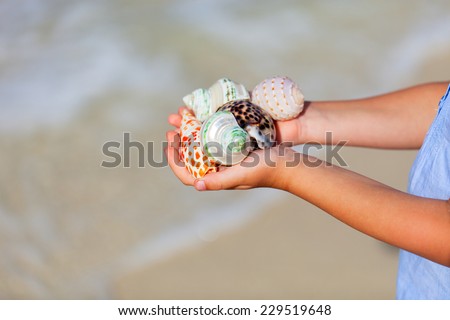 Close up of little girl hand holding variety of beautiful sea shells