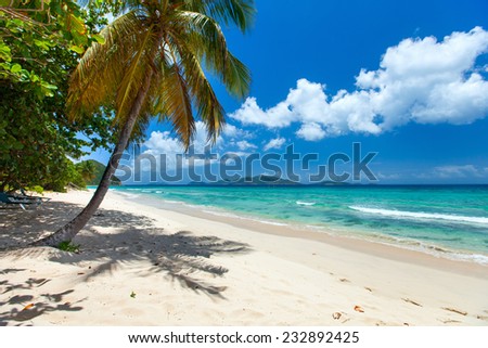 Beautiful tropical beach with palm trees, white sand, turquoise ocean water and blue sky at Tortola, British Virgin Islands in Caribbean