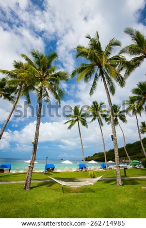 Beautiful tropical beach with palm trees, white sand, turquoise ocean water and blue sky at exotic island