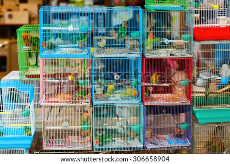 Birds in cages for sale at Birds market, Kowloon Hong Kong, popular tourist destination.