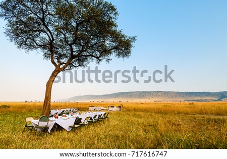 Luxury bush breakfast in Masai Mara national park in Kenya