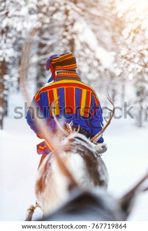 Back view of Sami man at reindeer safari in a winter forest in Finnish Lapland
