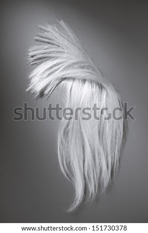 white hair on a gray background