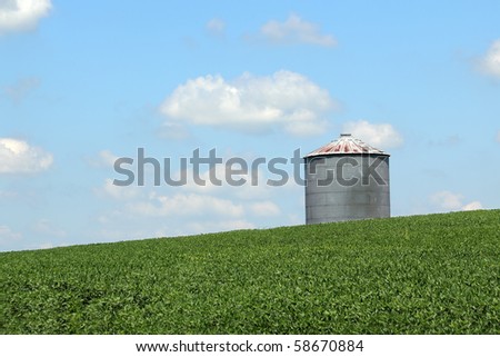 Grain bin on top of a soybean field