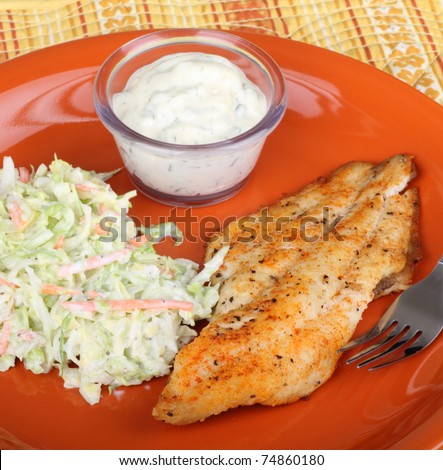 Catfish fillet meal with coleslaw and tartar sauce