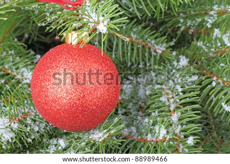 Red Christmas ornament on snowy evergreen tree branches