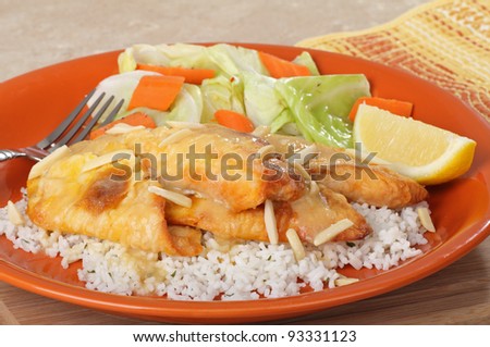 Fried catfish fillets on rice with lemon slice