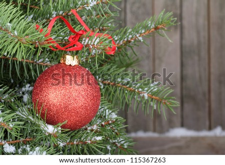 Red Christmas ornament on snowy branches of evergreen tree