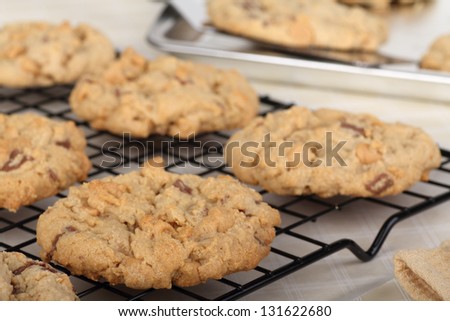 Closeup of peanut butter cookies on a cooling rack