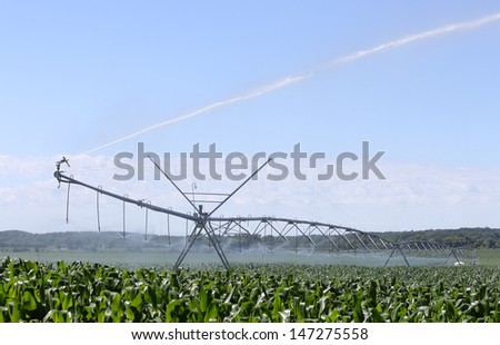 Irrigation Equipment watering a field of corn