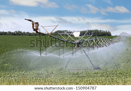 Irrigation equipment watering a field of plants