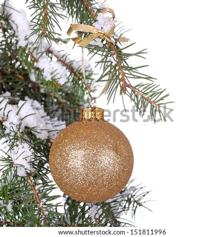 Gold Christmas ball hanging on snowy evergreen isolated on white