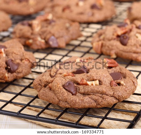 Closeup of chocolate chip and pecan cookies on a cooling rack