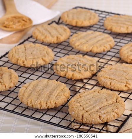 Peanut butter cookies on a cooling rack