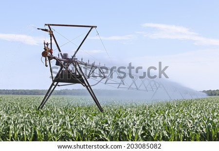 Farm irrigation equipment watering a corn plants