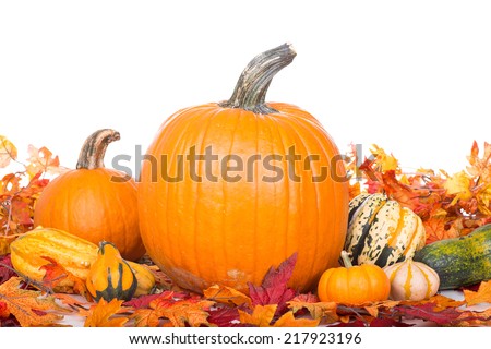 Fall leaves with pumpkins and squash on a white background