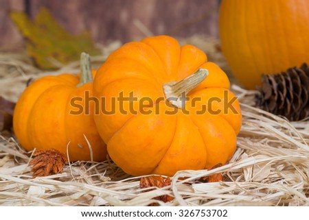Closeup of two mini pumpkins on straw