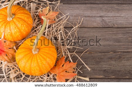 Colorful autumn pumpkins on wooden surface with copy space