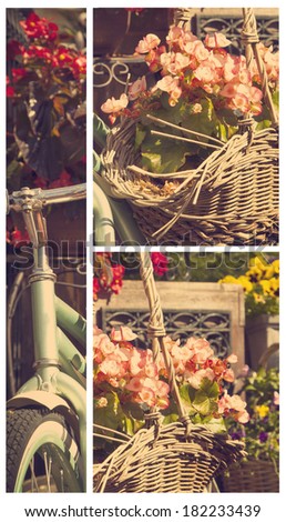 Old bicycle with a bucket of colorful flowers