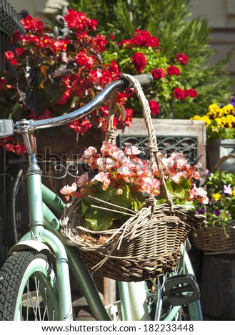 Old bicycle with a bucket of colorful flowers