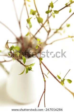 Spring branches in vase