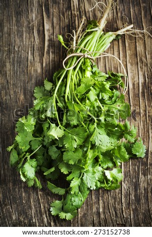 A bunch of cilantro on wooden background