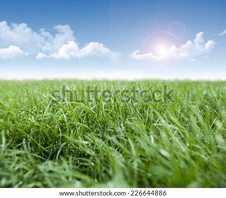 Green grass and  clouds in blue sky